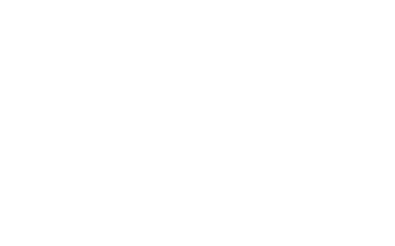 STEM Playbook Reverse Logo No Tagline